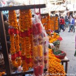 2014.12.09 Kathmandu 80 Asan Tole marigolds ResizeBy Donna Yates CC BY-NC-SA